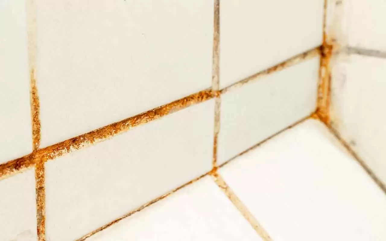 Pulire le fughe del bagno senza fatica: il metodo veloce che funziona subito Pulire le fughe del bagno senza fatica: il metodo veloce che funziona subito