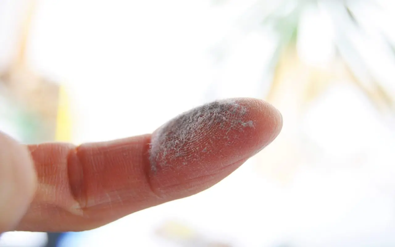 Riduci la polvere sui mobili in pochi minuti con un rimedio a base di limone fresco Riduci la polvere sui mobili in pochi minuti con un rimedio a base di limone fresco