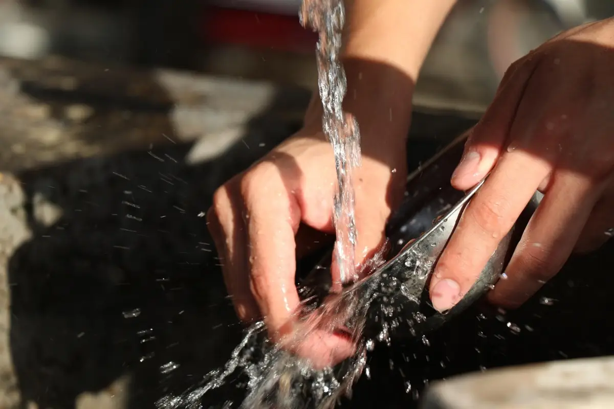 Grattugia pulita e senza residui: l’errore che in molti commettono e come evitarlo subito Grattugia pulita e senza residui: l’errore che in molti commettono e come evitarlo subito