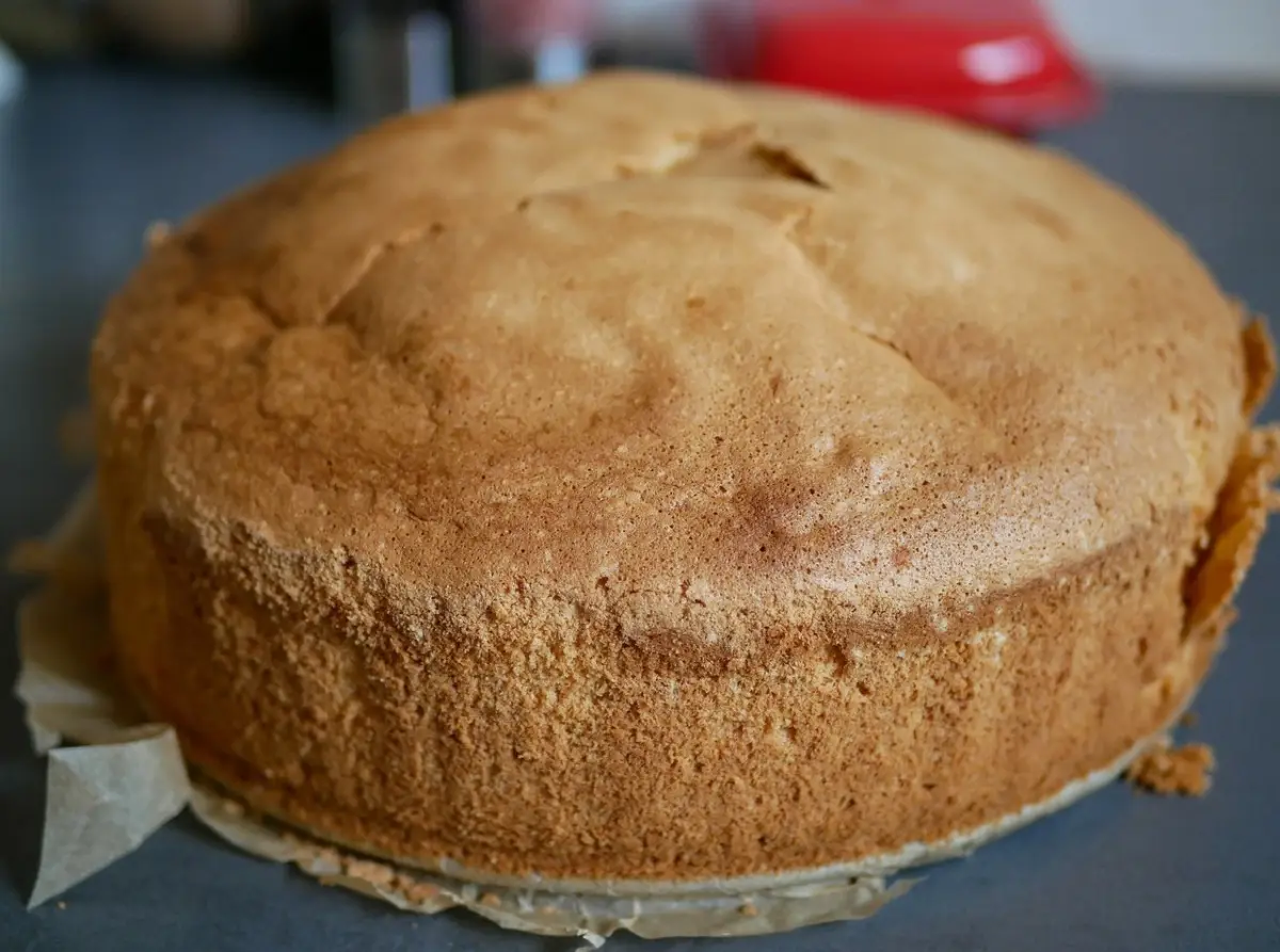 Scopri la ricetta della torta soffice con yogurt senza burro: gusto e leggerezza insieme Scopri la ricetta della torta soffice con yogurt senza burro: gusto e leggerezza insieme