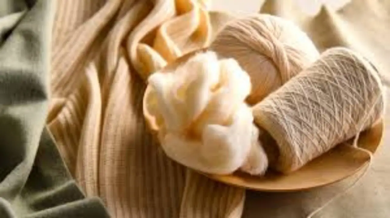 Scopri l’alternativa naturale all’ammorbidente che lascia i capi morbidissimi Scopri l’alternativa naturale all’ammorbidente che lascia i capi morbidissimi