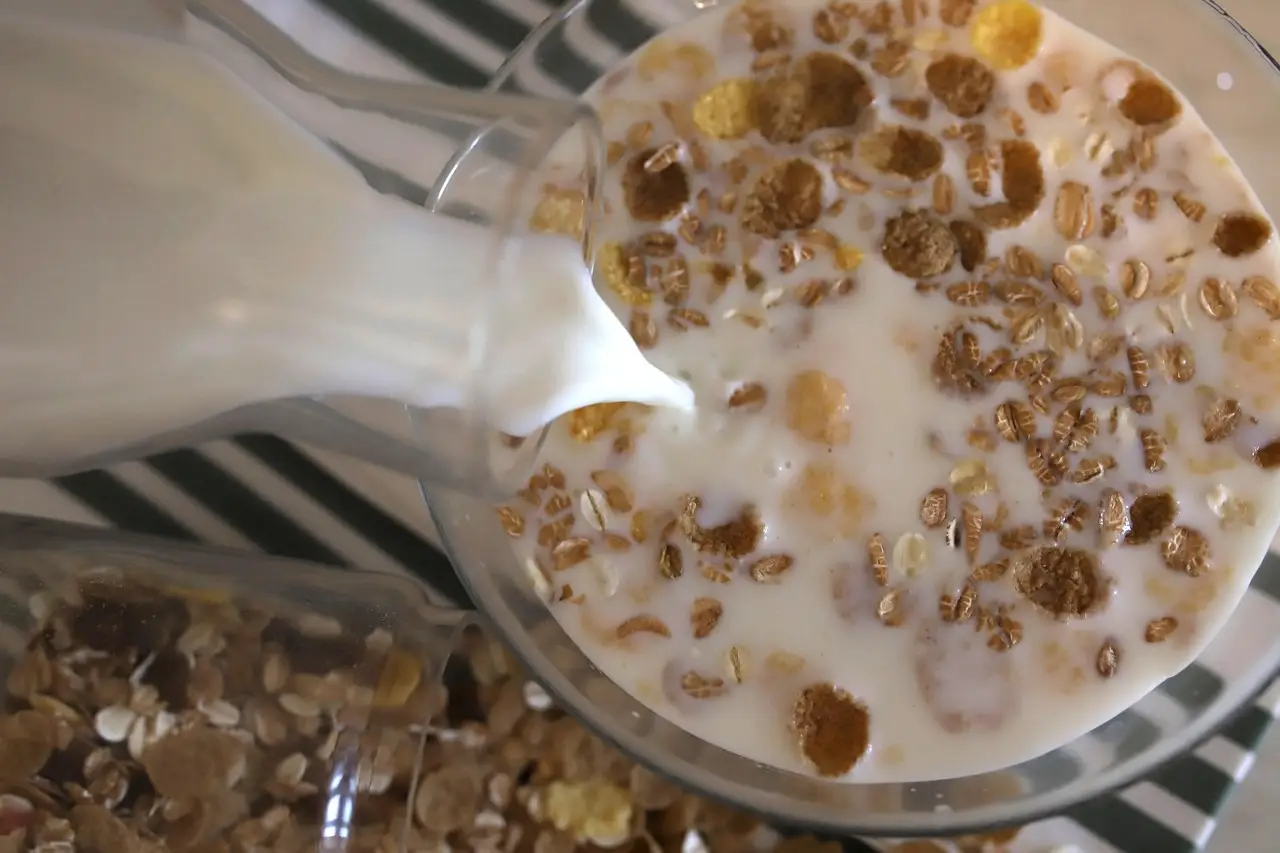 Cereali per la colazione: scegli i mix naturali per sazietà e leggerezza ogni mattina Cereali per la colazione: scegli i mix naturali per sazietà e leggerezza ogni mattina