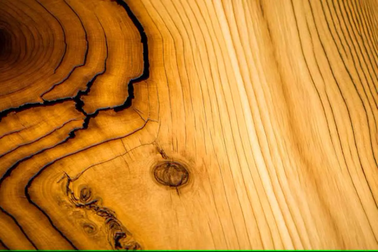 Vuoi proteggere i mobili in legno? Ecco la soluzione green che non li rovina Vuoi proteggere i mobili in legno? Ecco la soluzione green che non li rovina