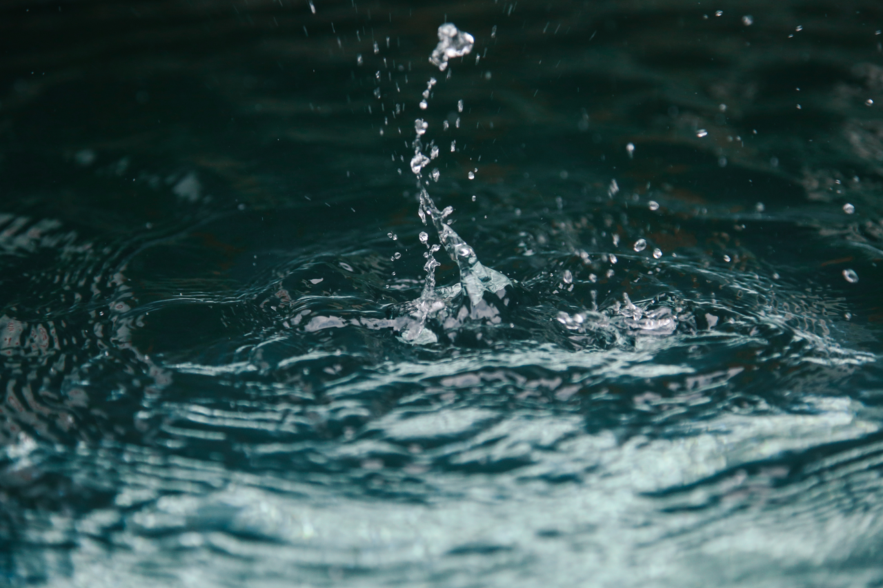 Capillarità: fino a che punto può salire l’acqua e perché questo fenomeno ci riguarda tutti