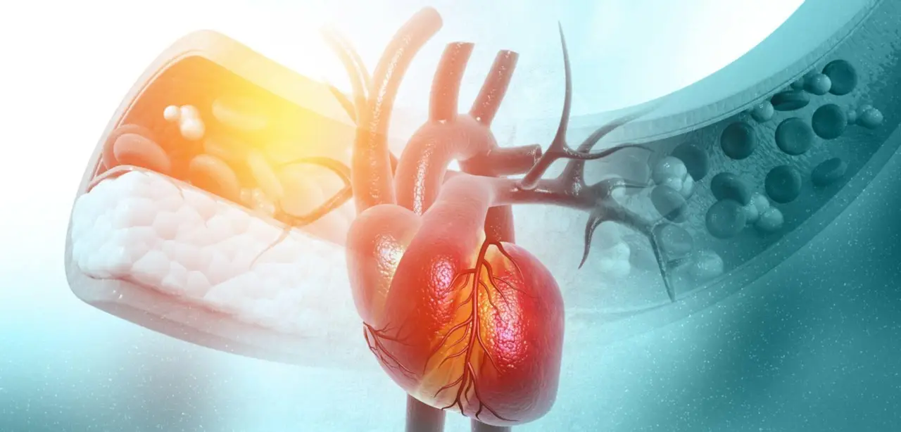 Miocardite: quali sono i sintomi e perché è importante riconoscerli in tempo