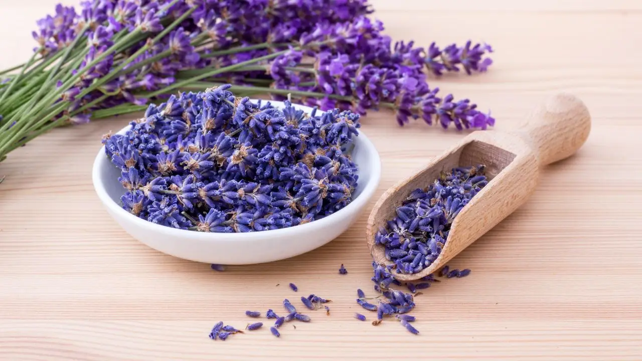 Profumare i cassetti con la lavanda: il trucco della bustina in tessuto Profumare i cassetti con la lavanda: il trucco della bustina in tessuto