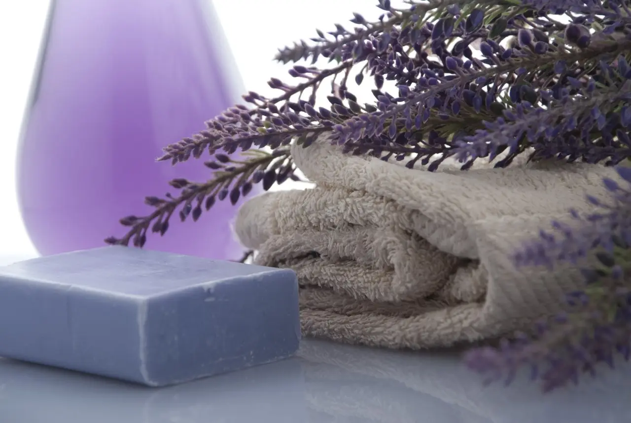 Profumare i cassetti con la lavanda: il trucco della bustina in tessuto Profumare i cassetti con la lavanda: il trucco della bustina in tessuto