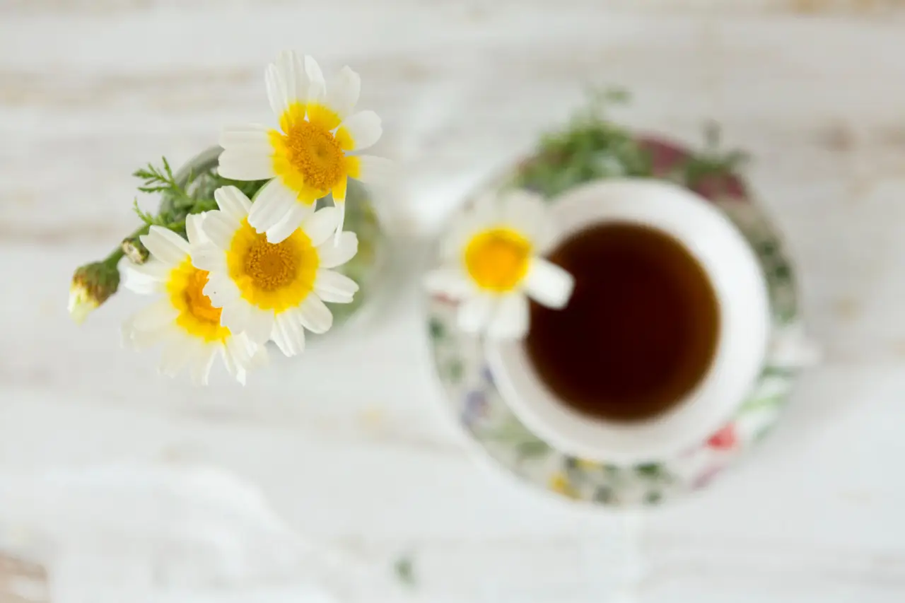 Dormire male con il caldo? L’infuso serale che rilassa il corpo in modo naturale Dormire male con il caldo? L’infuso serale che rilassa il corpo in modo naturale