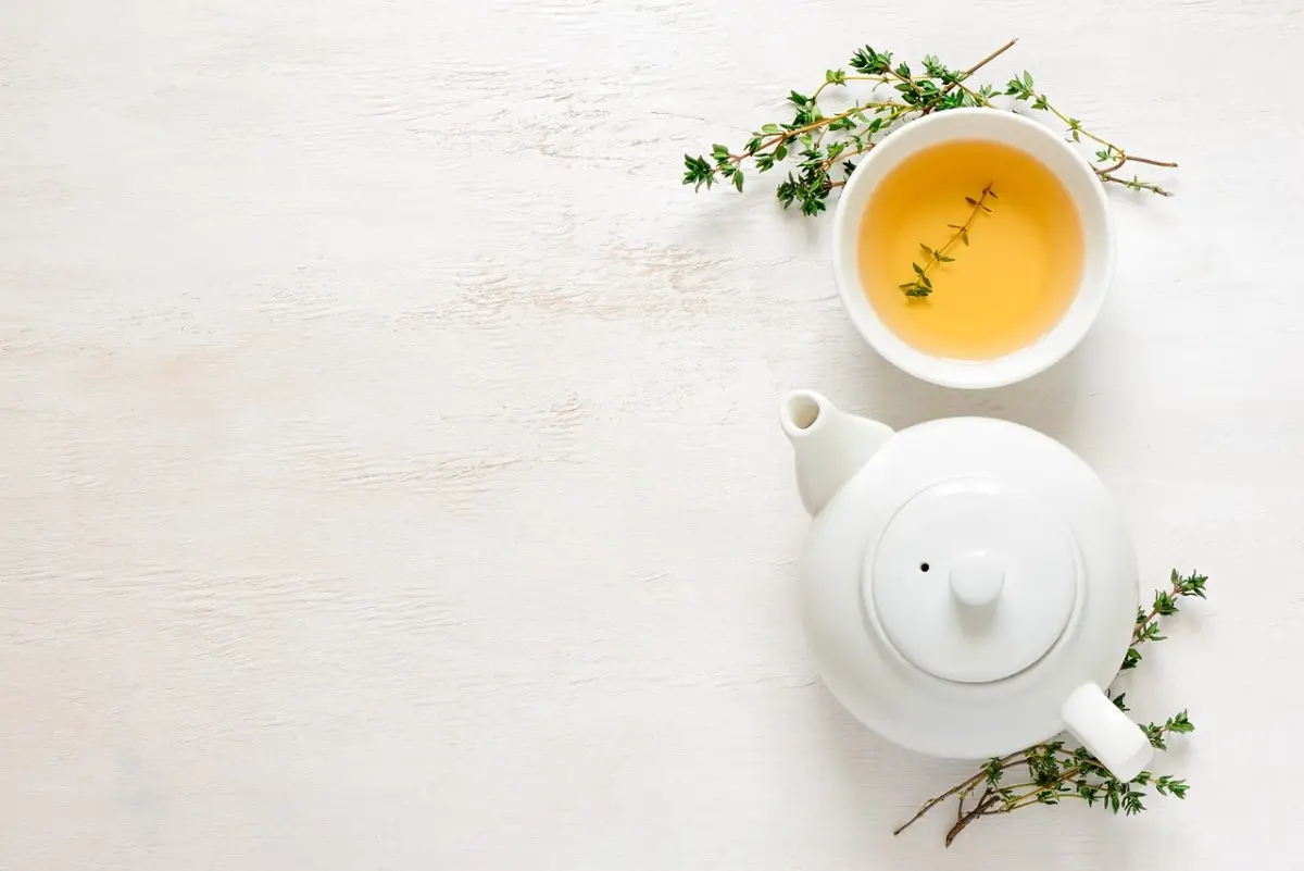 Come usare il tè per fertilizzare le piante: il metodo a infusione lenta Come usare il tè per fertilizzare le piante: il metodo a infusione lenta