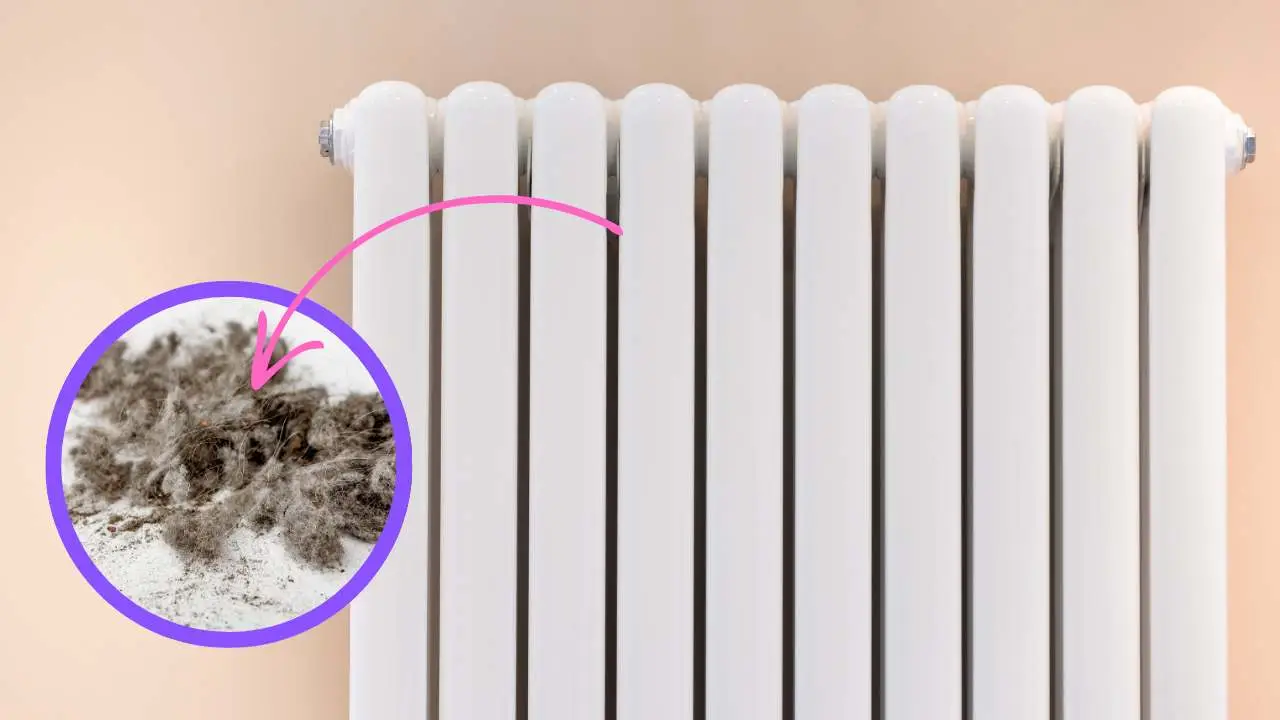 Come pulire i termosifoni in estate: il metodo giusto Come pulire i termosifoni in estate: il metodo giusto