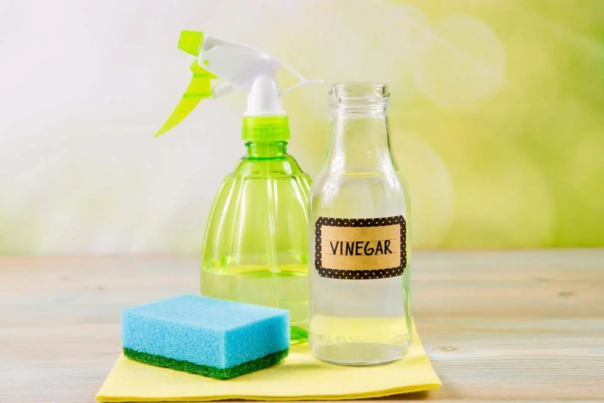 Il trucco veloce per eliminare il calcare dalla doccia in meno di 2 minuti Il trucco veloce per eliminare il calcare dalla doccia in meno di 2 minuti