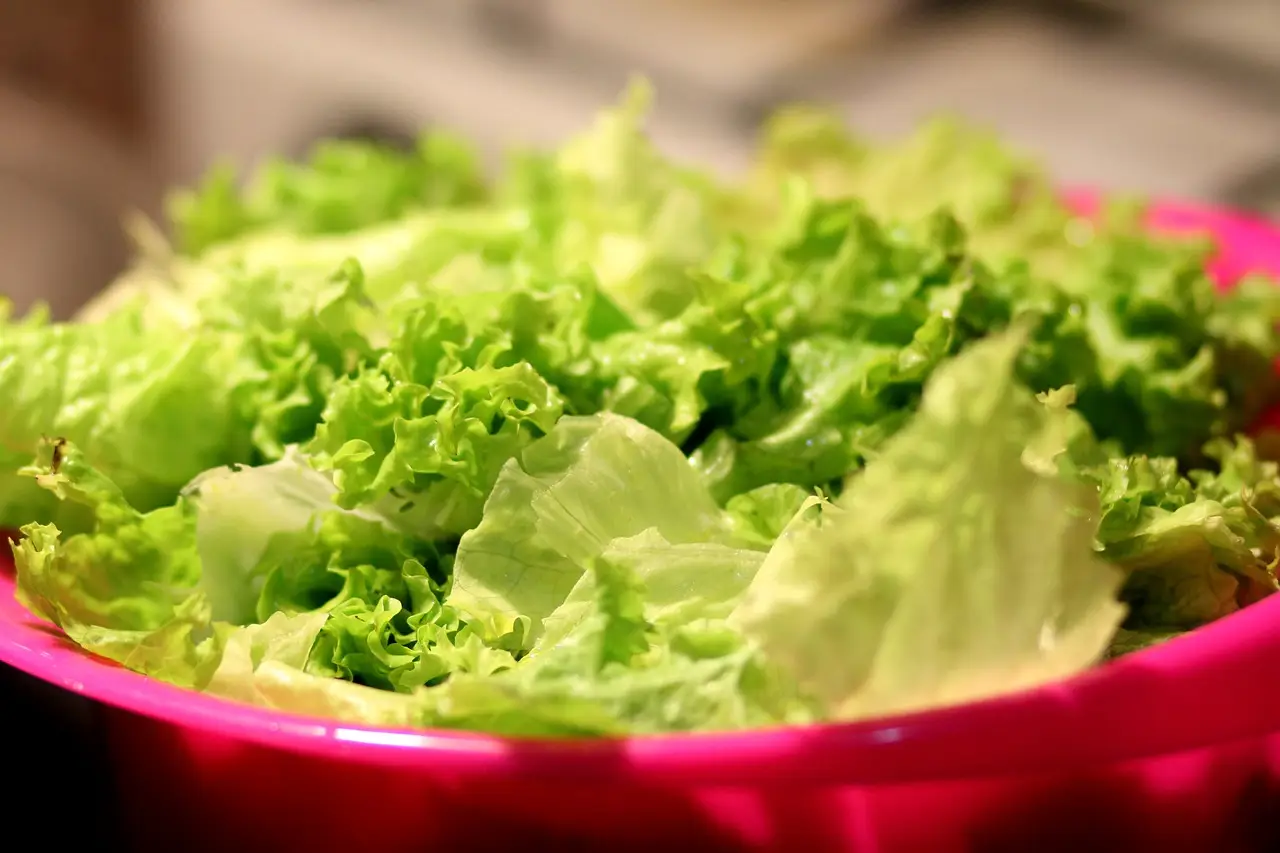 Prova il metodo della doppia centrifuga: insalata più croccante e pronta in pochi minuti Prova il metodo della doppia centrifuga: insalata più croccante e pronta in pochi minuti