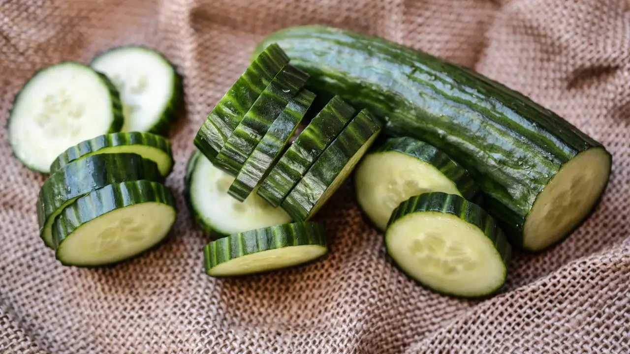 Prepara un'insalata di cetrioli croccanti e yogurt ideale per restare leggeri e sazi Prepara un'insalata di cetrioli croccanti e yogurt ideale per restare leggeri e sazi