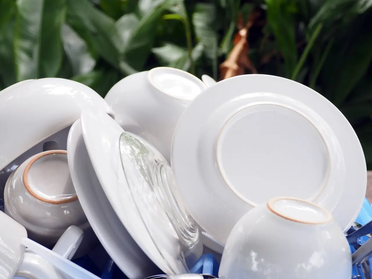Risparmia tempo e acqua in cucina: ecco il trucco per stoviglie senza aloni Risparmia tempo e acqua in cucina: ecco il trucco per stoviglie senza aloni