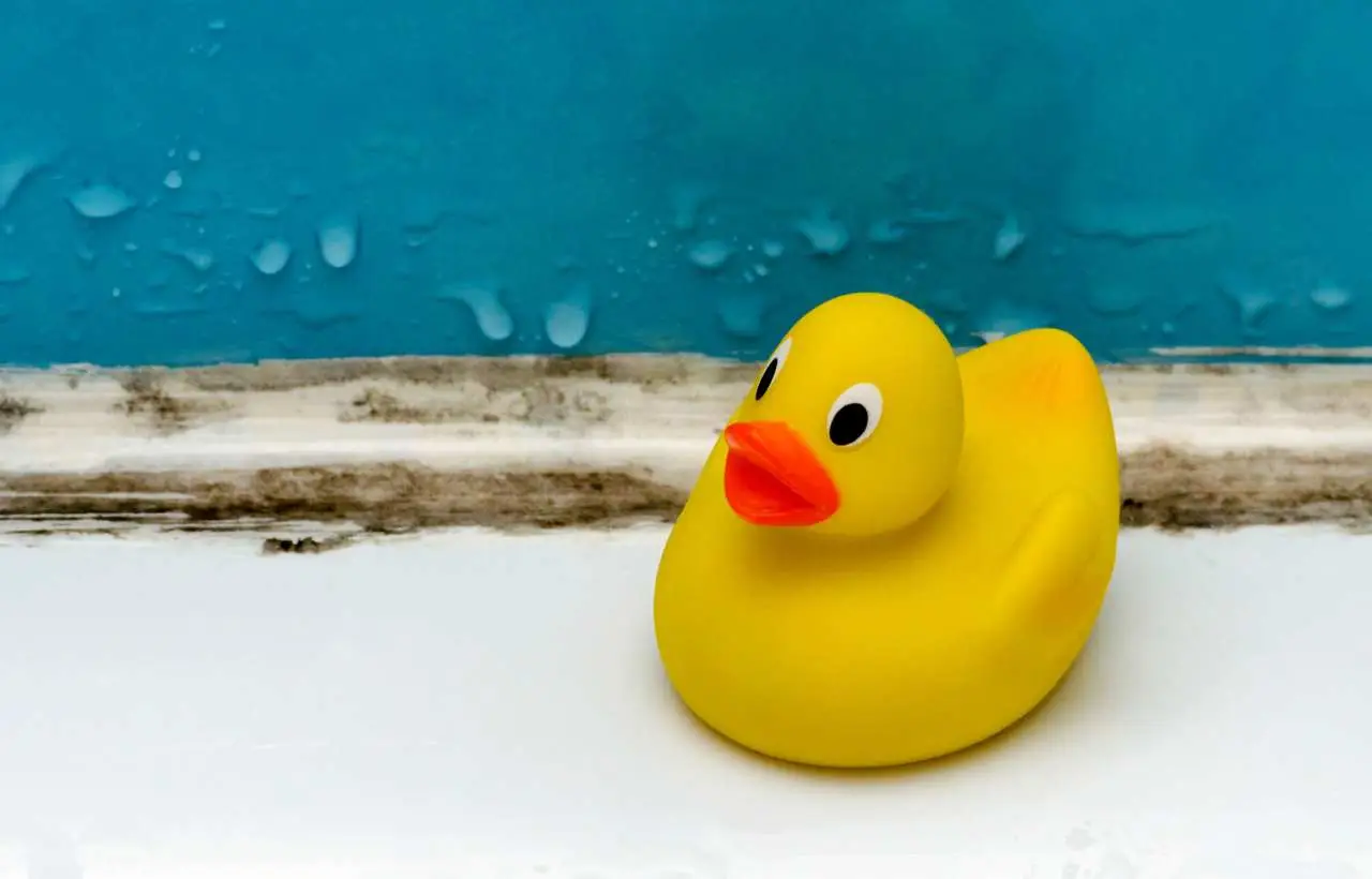 Scopri subito come prevenire muffa nei bagni con un gesto facilissimo e rapido Scopri subito come prevenire muffa nei bagni con un gesto facilissimo e rapido