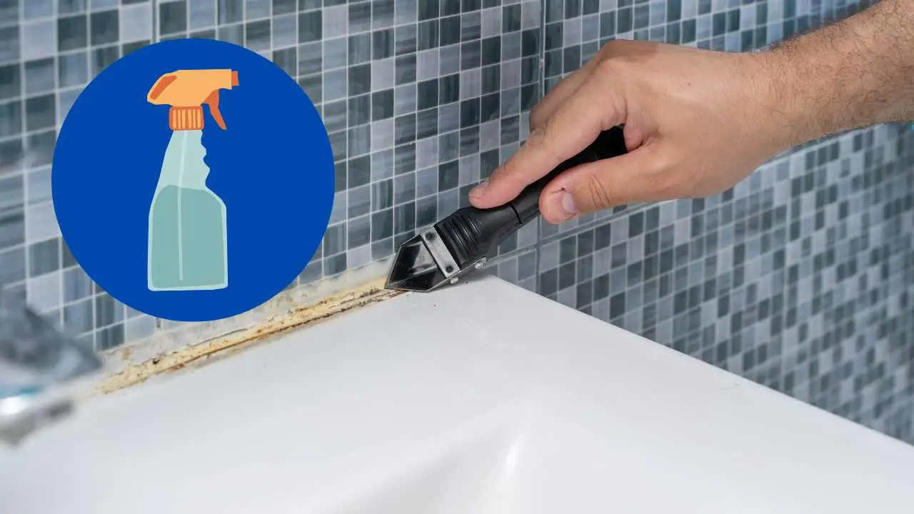 Scopri subito come prevenire muffa nei bagni con un gesto facilissimo e rapido Scopri subito come prevenire muffa nei bagni con un gesto facilissimo e rapido